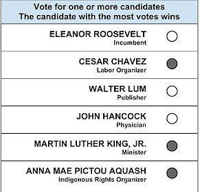 Is Approval Voting A Fix For Primaries? - Elections Daily